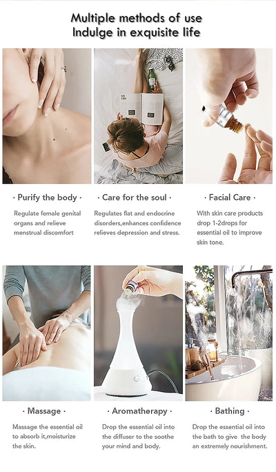 Eucalyptus Essential Oil (100% Pure & Natural - Undiluted) Therapeutic Grade  - Perfect for Aromatherapy 10ml