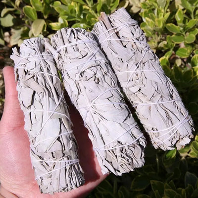 10cm White Sage Bundle Practical Portable California Smudge Stick Wand Multifunctional Natural Energy Cleansing Bundles