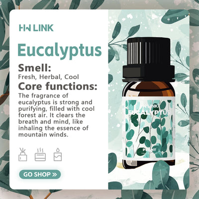 Eucalyptus Essential Oils 10ml Eucalyptus Oil For Diffusers,Hair,Skin Care,Aromatherapy,Body Massage,Soap And Candle Making